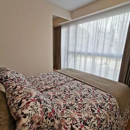 Cozy * Паланга